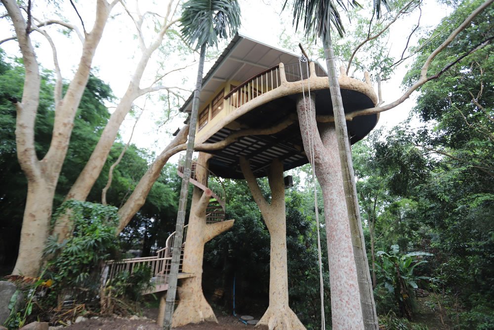 Looking up at the treehouse