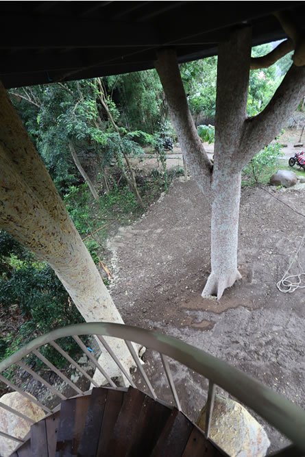 The view from the spiral staircase